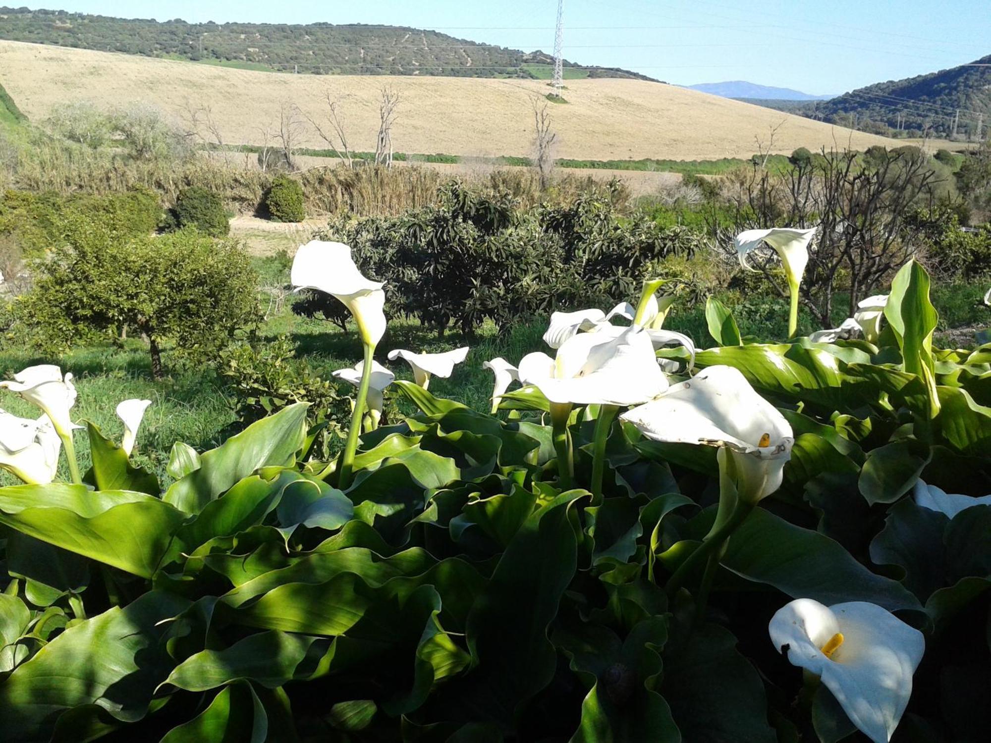 مْبيخير ذي لا فرونتيرا Casa Rural El Cubillo المظهر الخارجي الصورة