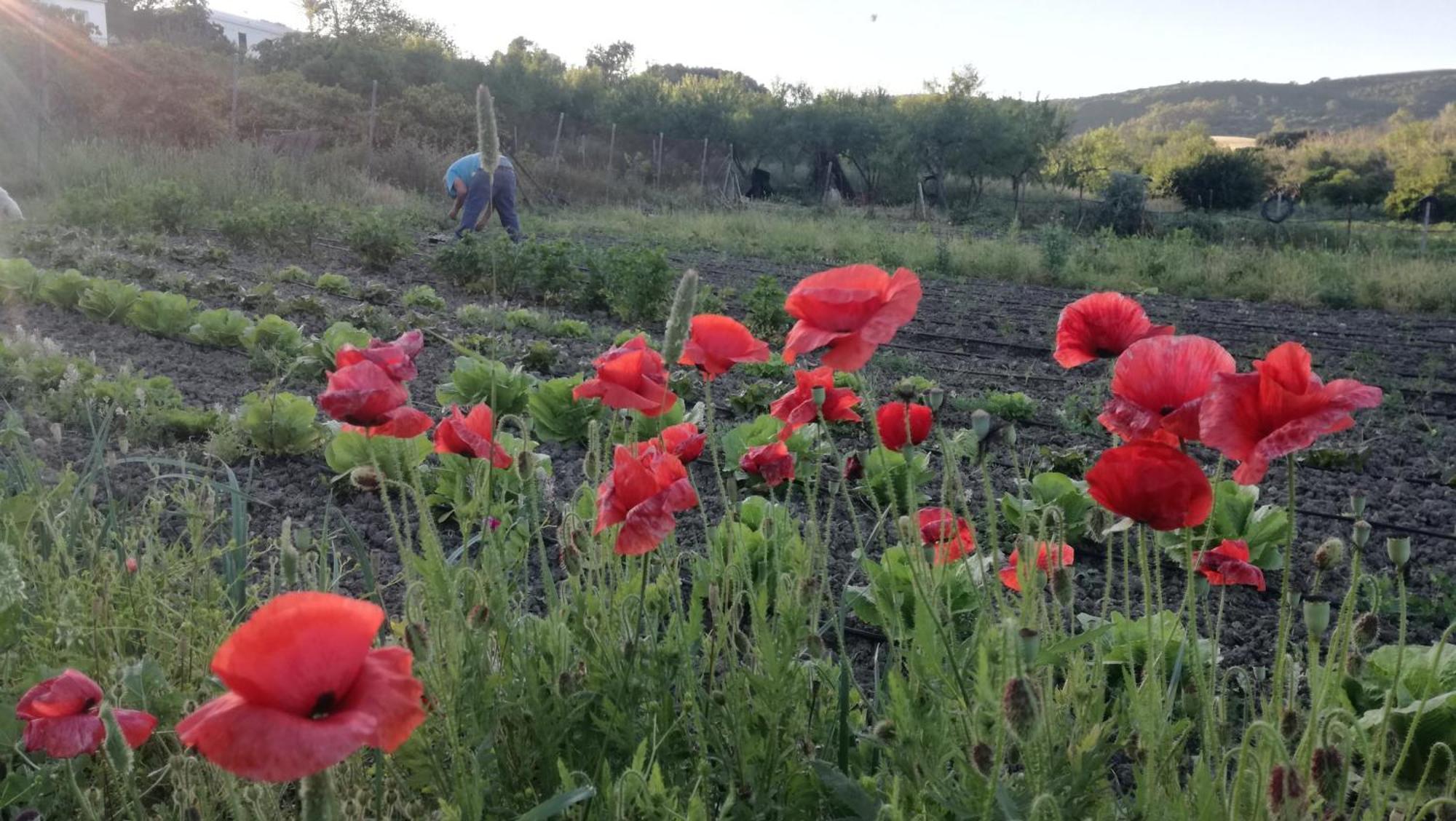 مْبيخير ذي لا فرونتيرا Casa Rural El Cubillo المظهر الخارجي الصورة